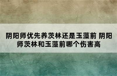 阴阳师优先养茨林还是玉藻前 阴阳师茨林和玉藻前哪个伤害高